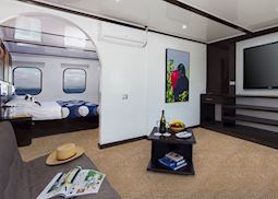 Main Deck Suite