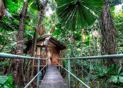 Daintree Wilderness Lodge, Daintree & Cape Tribulation