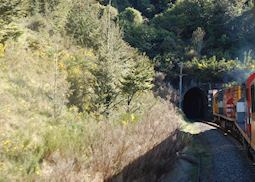 Tranz Alpine Train