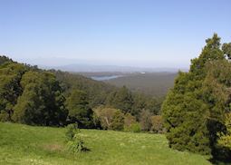 Dandenong Ranges, Victoria