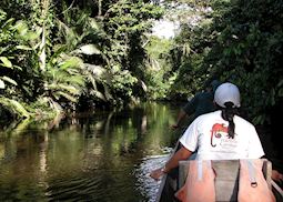 Canoeing excursion, Napo Wildlife Center