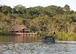 Canoe excursion from Sacha Lodge