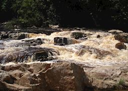 Taman Negara National Park, Malaysia