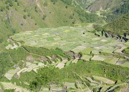 Rice and vegetable terraces near Bontoc, Mountain Province, Luzon