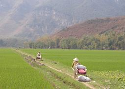 Mai Chau, Vietnam