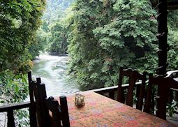 Jungle lodge, Tangkahan