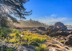Pacific Rim National Park, Vancouver Island