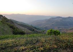 Views around Doi Chang