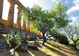 Temple of Juno, Agrigento