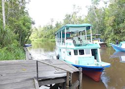 Klotok Boat Kalimantan