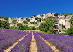 Lavender field, Provence