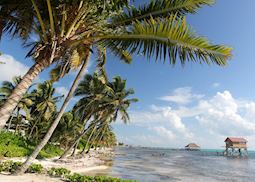 Coast of Belize