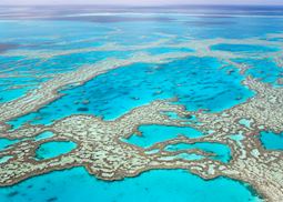 Hardy Reef