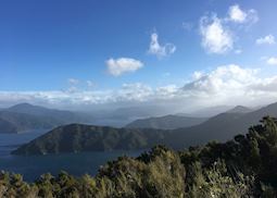 Landscape view of Marlborough Sounds