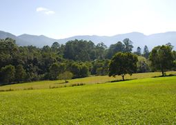 Bellingen