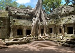 Ta Prohm, Siem Reap