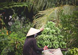 Mekong Delta Scene