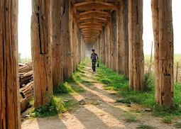 Woman under U Bein Bridge, Mandalay, Burma (Myanmar)