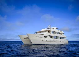 Treasure of Galapagos