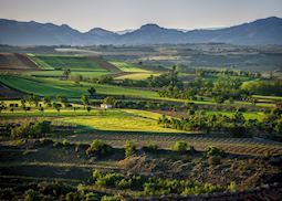 Vineyards, La Rioja