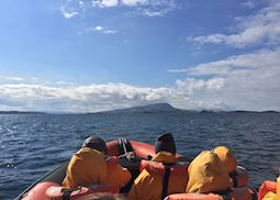 Corryvreckan wildlife tour