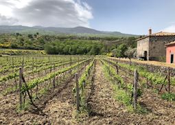 Planeta Tenuta Sciaranuova Estate, Taormina