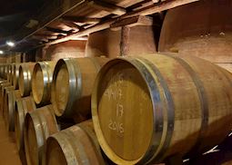 Winery outside of Toledo, Spain