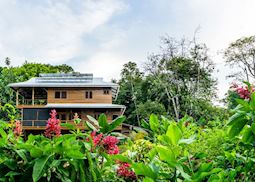 The Hummingbird Hotel