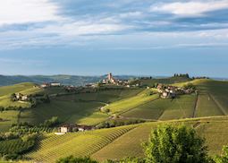 Barbaresco, Piedmont