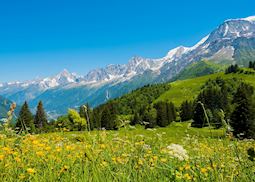 Verdant fields, Chamonix