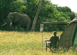 Mobile Tented Camp, Chobe National Park