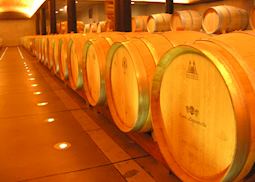 Clos Apalta, Colchagua Valley