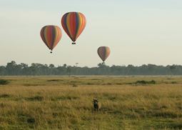 Hot air ballooning from Little Governors Camp in the Masai Mara