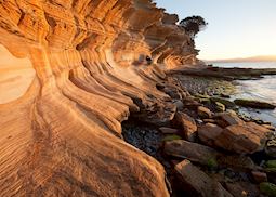 Maria Island Walk, 4 Day, Day 4, Maria Island