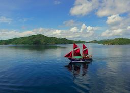 Cruising on Tiger Blue
