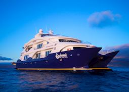 Endemic, Galapagos Islands