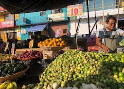 Oaxacan food market 