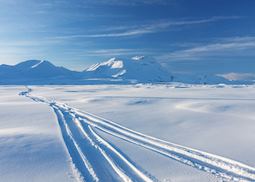 Glacier tracks