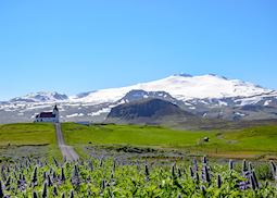 Snæfellsjökull glacier