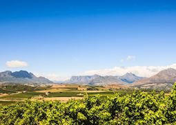 Scenery over Stellenbosch