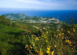 Views over Forio, Ischia