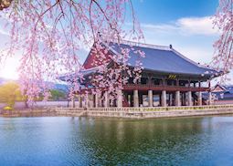 Gyeongbokgung Palace in the spring
