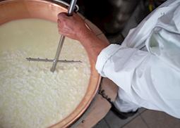 Traditional cheese making