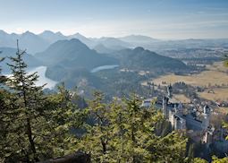 Neuschwanstein Castle from above