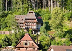 Traditional houses in a Black Forest village