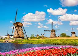 Windmills and tulips of Kinderdijk