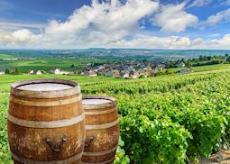Views over Reims from the vineyards