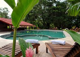 The pool at Natural Lodge Caño Negro