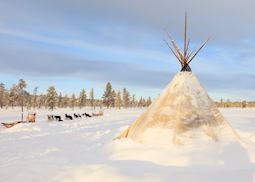 Sámi tipi and huskies