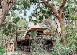 Shawa Luangwa Camp